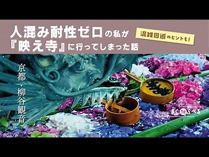 【京都・柳谷観音】甘く見てた映え力強すぎのお寺｜京都観光vlog