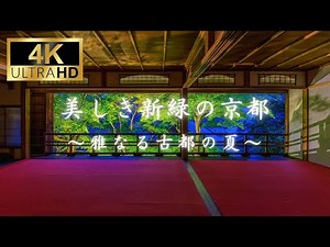 【4K】美しき新緑の京都～雅なる古都の夏～【絶景】