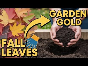 FALL Composting Tips: Turn Leaves & Leftovers into Garden Gold!