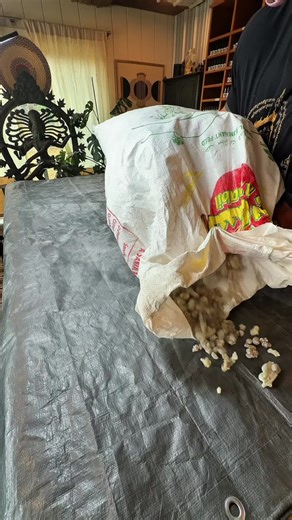 The Art of Resin Sorting: Essential for Quality Distillation