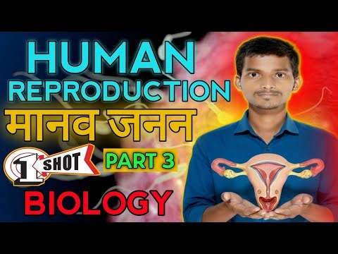 मानव जनन One Shot Live | Human Reproduction | Class 12 Biology | Hindi PART 3 by Sudhir sir
