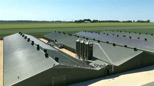 Poultry House Farming Laying Broiler Chicken Cage Steel Structure Automatic Chicken Building Prefab Poultry Layer Farm Building