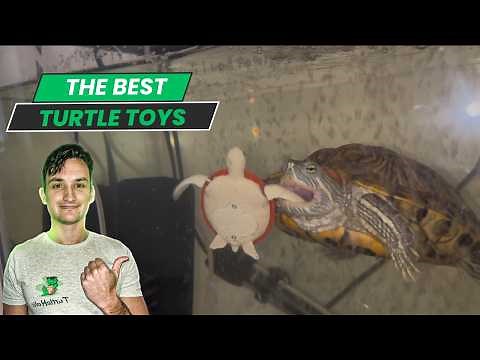 Best Turtle Toys: Reviewing the top toys for turtles
