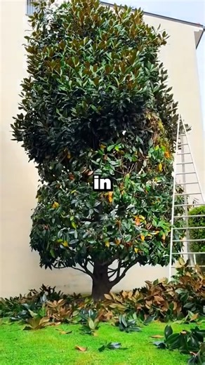 [WP] "So they are a war species then, huh." The alien scratched his head: "Why are you interested in them. The humans, i mean." The other alien got closer. "They fight for peace. No war species ever fights for peace." (u/SYLOH) #redditstories #redditreadings #writingprompts #shortstory #fiction | Interesting Facts