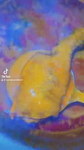 13 reactions | Y’a Gbairaiiiii oh 浪 C’est le week-end Prends 5mille , tu vas bien manger et boire une sucrerie pour évacuer le stress de la Semaine 殺 Angré gestoci non loin pharmacie alliance O' bons choix 0748568284 | Marie-pascale Brin | Facebook