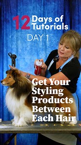 Today's tutorial is "Get Your Styling Products Between Each Hair". A common mistake we see when using any grooming product is improper use; such that the product doesn't work as effectively as it could. When it comes to styling products such as mousse, chalk, colestral, gel, and so on, often the product is applied only to the top of the coat. The product needs to be applied IN the coat, getting to the root and covering the surface area of every hair. Especially when using volumizing products thi