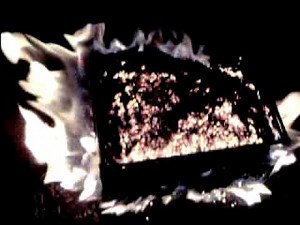 Pellet Basket Fire Wood Pellets @ burnwoodpellets.com