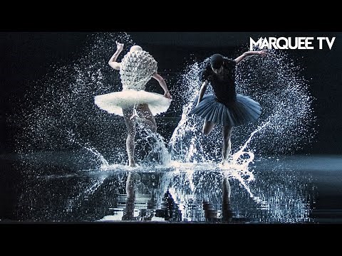 A Swan Lake | Norwegian National Ballet | Marquee TV
