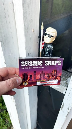 Daily Firework: Seismic Snaps by TAKO #shorts #fireworks #TAKO #250th