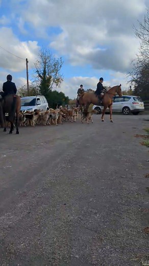 Welsh Border Hunt Sabs on Reels