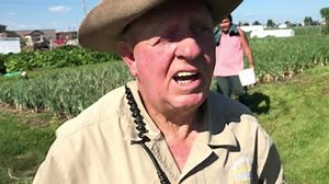 1.6K views · 74 reactions | The Jail Garden in Box Elder is providing a great opportunity for inmates to get outside and learn how to grow food. And it’s already providing hundreds of pounds of fresh produce for the jail kitchen. Thanks to Master Gardener and former Correctional Officer Bill Atyeo for running the program! | Pennington County Sheriff's Office | Facebook