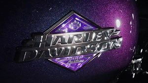 Harley-Davidson's Trippy New Color-Shifting Paint Reminds Us When Paint Used To Be Special - Jalopnik