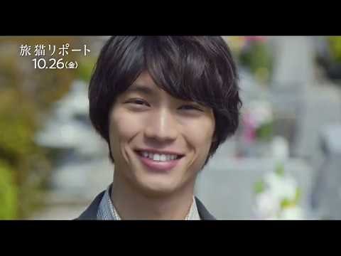 映画『旅猫リポート』長尺予告映像