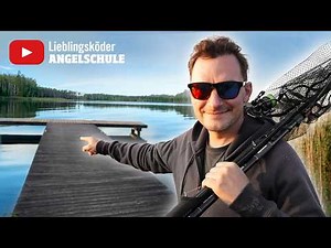 🎣 Barschangeln für Anfänger: 2 Spots mit Fanggarantie 🔥