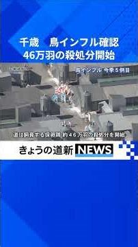 千歳の養鶏場、46万羽の殺処分開始 鳥インフル確認 北海道内過去3番目の多さ #千歳 #鳥インフルエンザ #鳥インフル #防疫対策 #地域ニュース #北海道新聞 #shorts