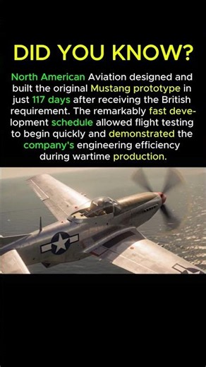 The Mustang Was Built Faster Than Expected #p51mustang #wwiiaviation #ww2aircraft