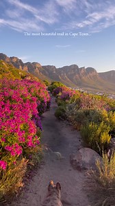 75K views · 508 reactions | Spring is SPRINGING here in South Africa!  (...And yes, it really looks this good!)  Photographer @riohooper captured this mesmerising footage of Lion's Head Trail with the beautiful spring flowers and a 360-degree view of the Twelve Apostles and the coastline beyond. | South African Tourism UK | Facebook