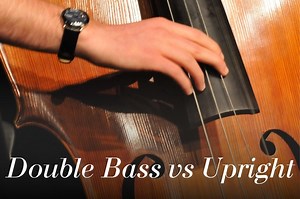 Double Bass Vs Upright Bass: Is There a Difference? - Bass Guitar Shack
