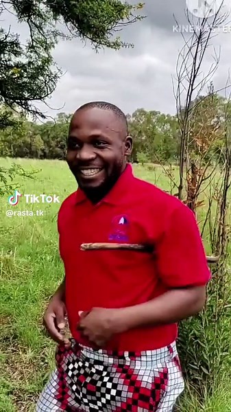 #Dogs #creatorsearchinsights