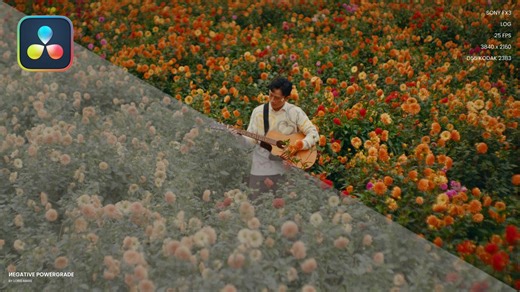 电影级经典好莱坞柯达胶片模拟达芬奇调色节点 LUT Loris Marie - Negative Powergrade ( Davinci Resolve )
