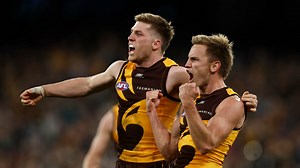 St Kilda Saints vs Hawthorn Hawks: AFL live scores