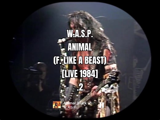 W.A.S.P. | Animal (F. Like a Beast) [LIVE 1984] .2 #wasp #rockstar #heavymetal #rocknroll #live