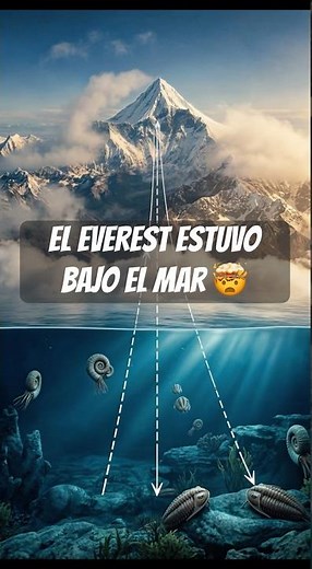 The INCREDIBLE SECRET of MOUNT EVEREST: Why are there marine fossils there? 🤯 #didyouknow #everest