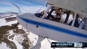 Catch up with #DrDee and her animals! Go to DiscoveryGO.com or download #DiscoveryGO from the App Store or Google Play and watch episodes on your computer, tablet or smartphone! #DiscoveryGO | Animal Planet