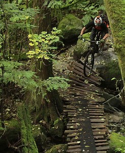 Maxxis Beaver 29er tire review