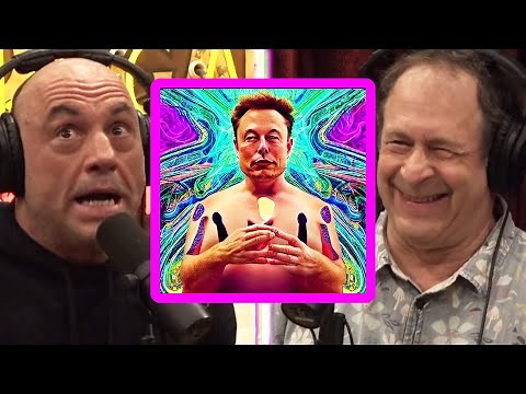 Joe Rogan Shares His 5-MEO DMT Trip With Rick Doblin | JRE 1964