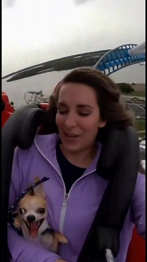 129K views · 3K reactions | Gifs/ motion art/ 30 second music clips on Reels | Facebook