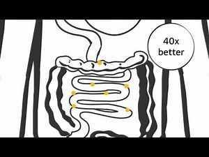 Curcumin Extrakt 45 | Dr. Wolz