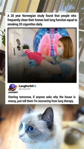 Cleaning Is Canceled | funny memes | relatable American memes | dank memes