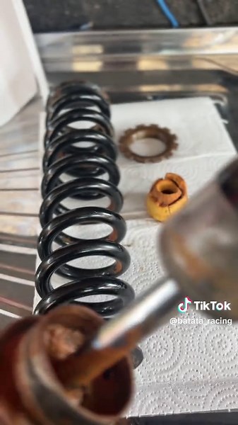 Manutenção de Amortecedor e Links da CRF 230