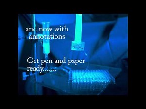 Purification of His tagged GFP using an IMAC (immobilised metal ion affinity chromatography) column