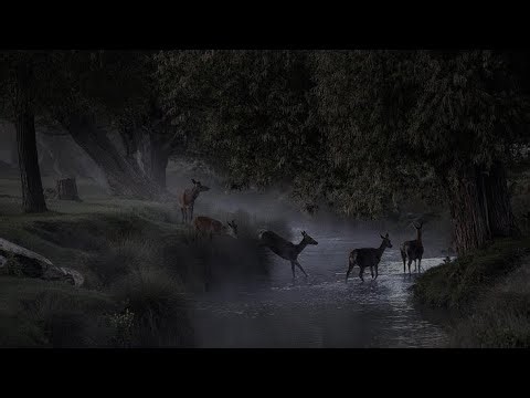 The American Dawn - The Edge (slowed + reverb)