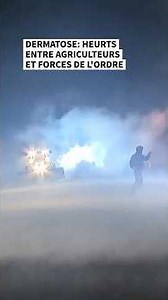Dermatose : heurts entre agriculteurs et forces de l'ordre
