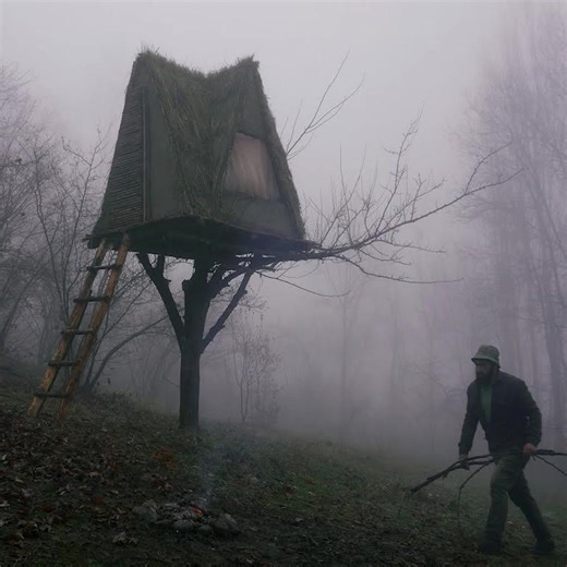 11K views · 355 reactions | How to Build Tree House Method Grass Roof | Survival Camping, Building Warm Bushcraft Pro | Facebook