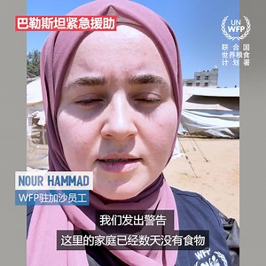 13K views · 28 reactions | 加沙地区已确认发生饥荒，当地家庭比以往任何时候都更需要您的帮助。若我们此刻不采取行动，将有更多人失去生命。请立即捐款支持世界粮食计划署（WFP）的人道主义行动，为巴勒斯坦家庭提供粮食援助。 | World Food Programme | Facebook