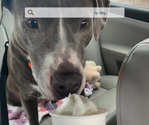 1.4K views · 116 reactions | ️ Dear Potential Forever Family, My...