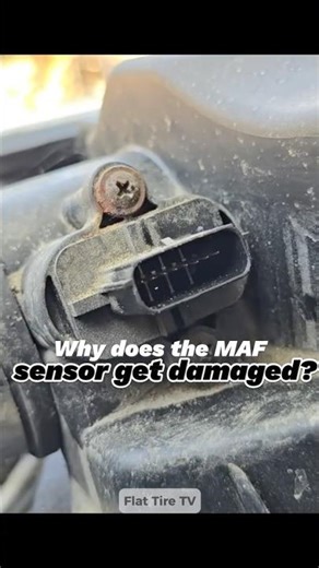 Why does the MAF sensor get damaged?