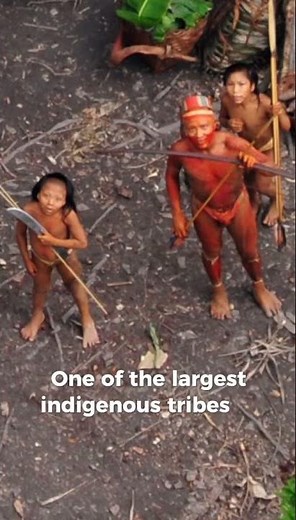 Yanomami - Spiritual Connection, Protecting the Amazon 🌳😍