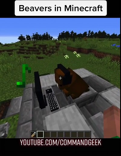 Discover Beavers in Minecraft: Enhance Your Gameplay