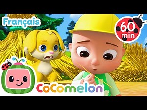 Les 3 petits amis | Chansons pour enfants | CoComelon Le coin des Animaux de JJ - Comptines Bébé