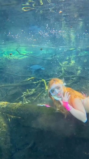 Saw a soft shell turtle while freediving in Florida🐢 #animallovers #underwater #naturelovers #swim