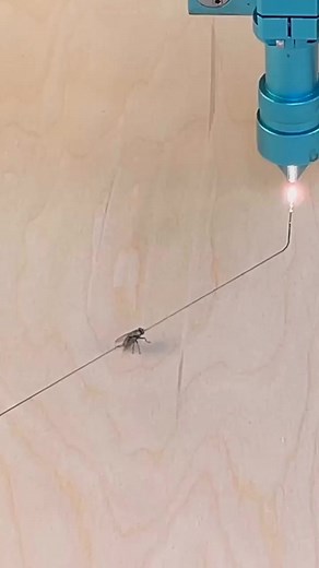 27K views · 133 reactions | Has to be blind now right? #thunderlaserusa #laser #flytrap #insect #insectphotography #dontdoit #laserengraving | Tool_Tips | Facebook