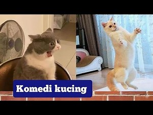 𝗩𝗶𝗱𝗲𝗼 𝗸𝘂𝗰𝗶𝗻𝗴 𝘁𝗲𝗿𝗹𝘂𝗰𝘂 - 𝗱𝘂𝗯𝗯𝗶𝗻𝗴 𝗵𝗲𝘄𝗮𝗻 𝗹𝘂𝗰𝘂 𝗽𝗮𝗿𝘁 𝟭