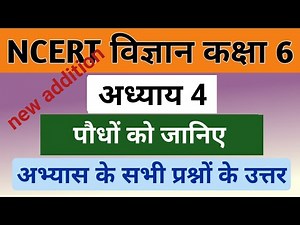 Class 6th Science Chapter 4: पौधों को जानिए | Question-Answers (Hindi Medium) | कक्षा 6 विज्ञान