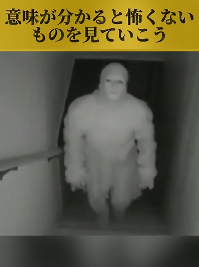意味が分かると怖くない心霊画像集