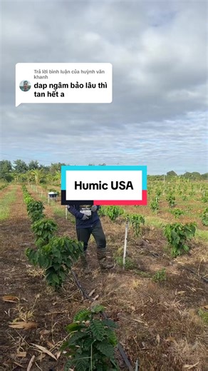 Understanding Humic Substances in Agriculture